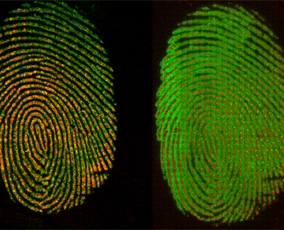 images 15mml010 fingerprint overlays cs